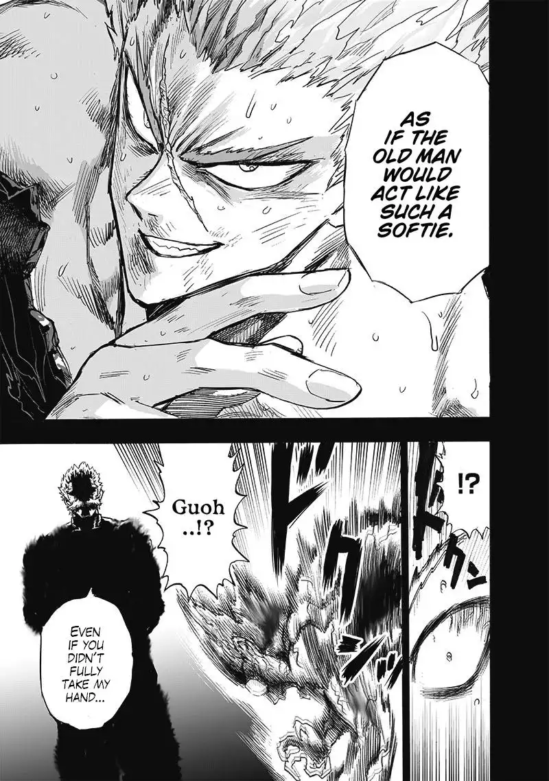 One-Punch Man Chapter 165 37